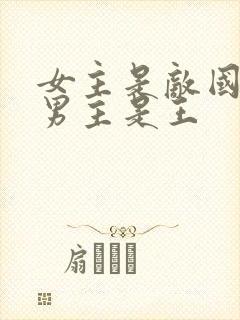 女主是敌国将军男主是王