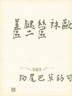 美腿丝袜欧美一区二区