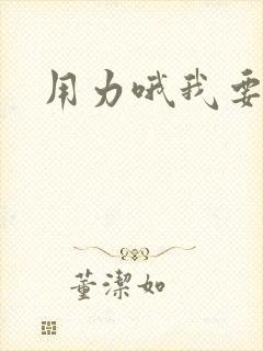 用力哦我要小说