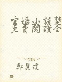 官场小说楚祈宇免费阅读全文