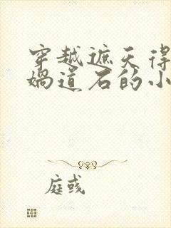 穿越遮天得到女娲道石的小说