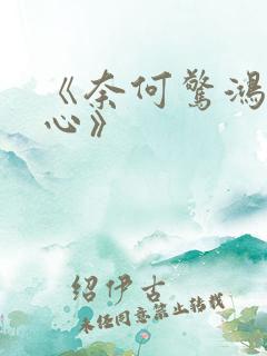 《奈何惊鸿入我心》