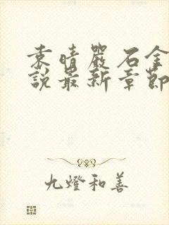 袁晴严石金明小说最新章节更新时间