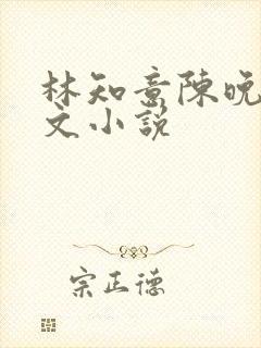 林知意陈晚风全文小说