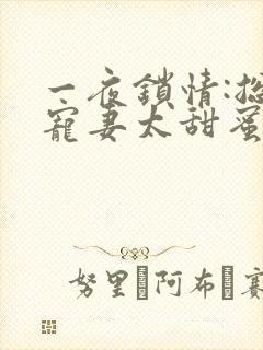 一夜锁情:总裁宠妻太甜蜜