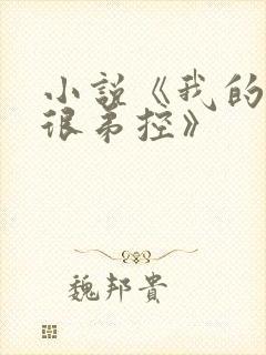 小说《我的姐姐很弟控》