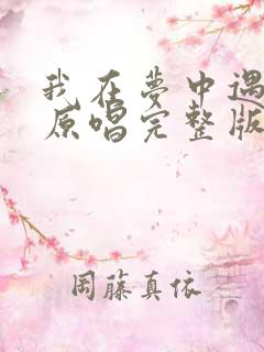 我在梦中遇见你原唱完整版