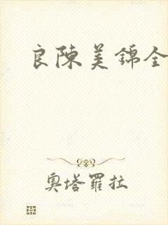 良陈美锦全