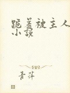 跪着被主人调教小说