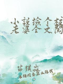 小说捡个校花做老婆全文阅读