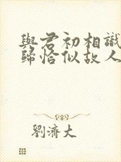 与君初相识故人归恰似故人归在线播放