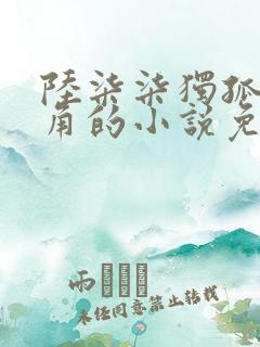 陆柒柒独孤正主角的小说免费阅读