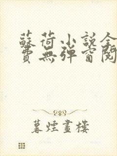 苏荷小说全文免费无弹窗阅读