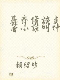 聂齐修谈贞静原著小说叫什么名字