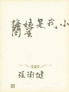 梅姨是我小妈的闺蜜