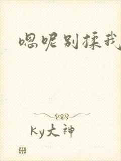 嗯呢别揉我奶头