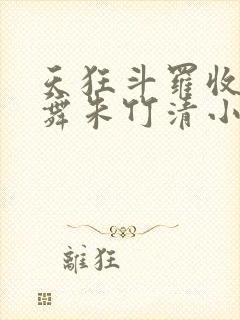天狂斗罗收服小舞朱竹清小说