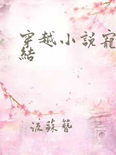 穿越小说宠文完结