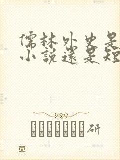 儒林外史是长篇小说还是短篇小说