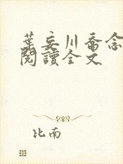 叶妄川乔念免费阅读全文