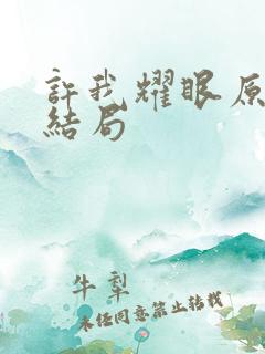 许我耀眼原著大结局