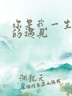 你是我一生最美的遇见