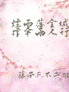 烟雨落金城一人撑伞两人行啥意思