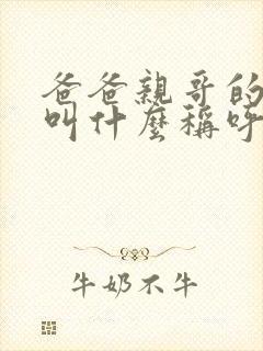 爸爸亲哥的老婆叫什么称呼