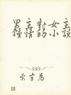 男主对女主一见钟情的小说校园文