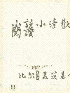 小说小清欢在线阅读