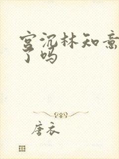 宫沉林知意完结了吗