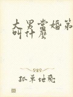 大男当婚第二部叫什么