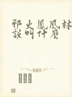 邪火凤凰林萧小说叫什么