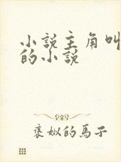 小说主角叫叶天的小说