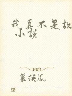 我真不是故意的 小说