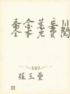 乔念叶妄川小说全本免费阅读无弹窗