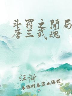 斗罗之开局揭露唐三武魂