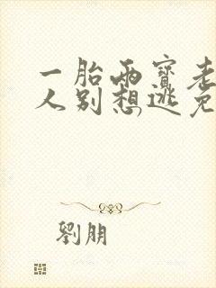 一胎两宝老婆大人别想逃免费阅读
