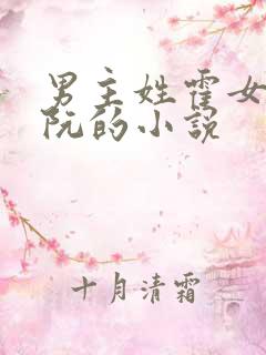 男主姓霍女主姓阮的小说