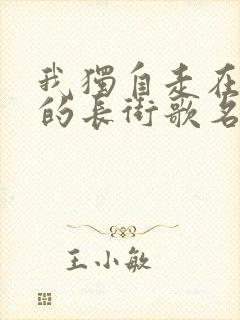 我独自走在寂寞的长街歌名叫什么