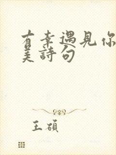 有幸遇见你的唯美诗句