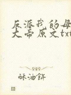 反派我的母亲是大帝原文txt