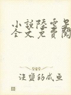 小说陆云是主角全文免费阅读