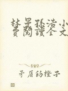 林曼孙浩小说免费阅读全文最新章节