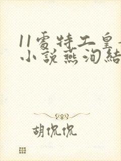 11处特工皇妃小说燕洵结局