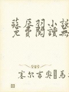 苏辰羽小说全文免费阅读无弹窗最新章节