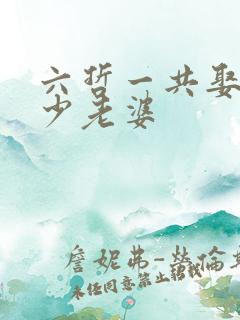 六哲一共娶了多少老婆