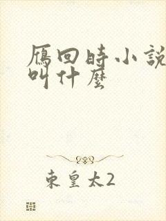 雁回时小说原著叫什么