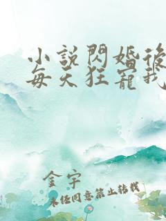 小说闪婚后大叔每天狂宠我完整版