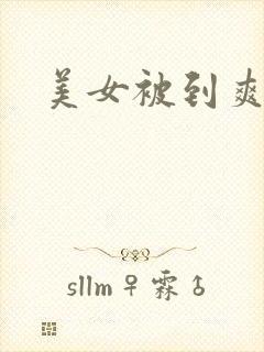 美女被到爽网站